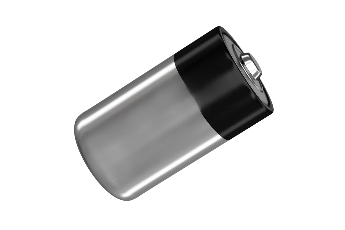 30041528 Batterie 1,5V pour Dorgard et Dorgard Pro